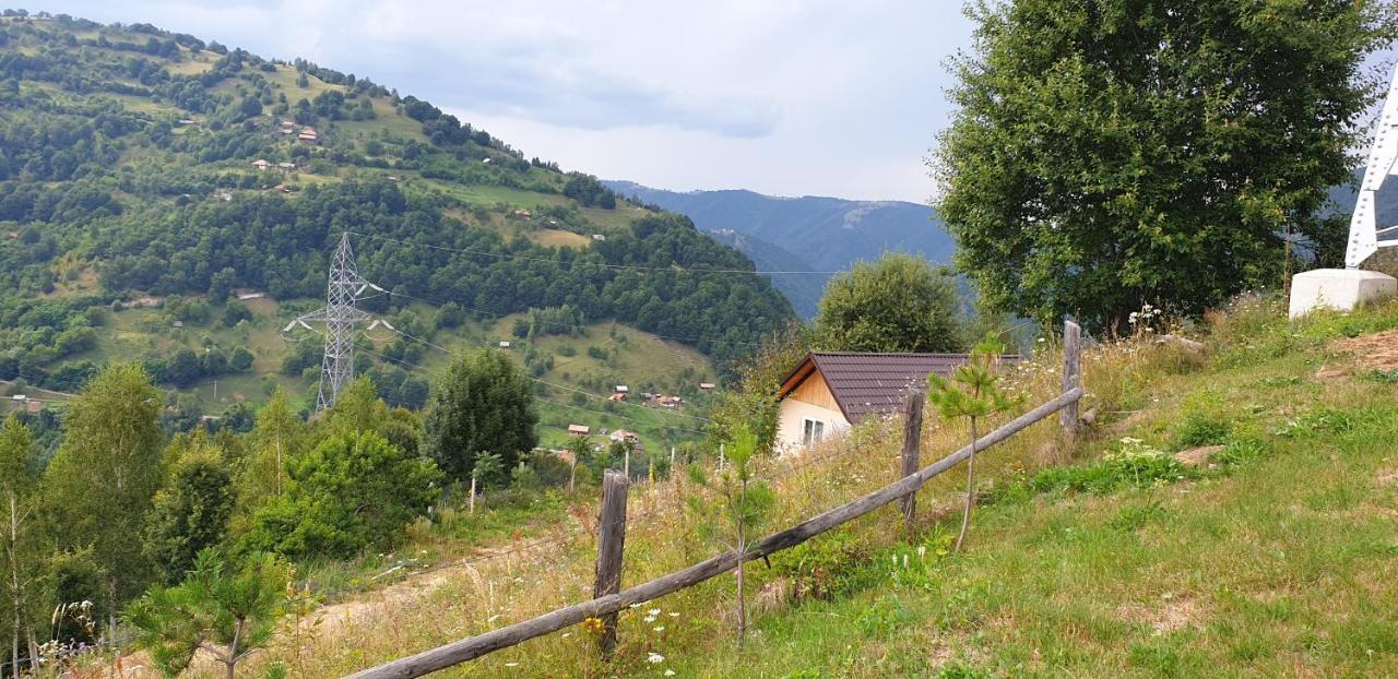 Pensiunea Petru Şugag Dış mekan fotoğraf