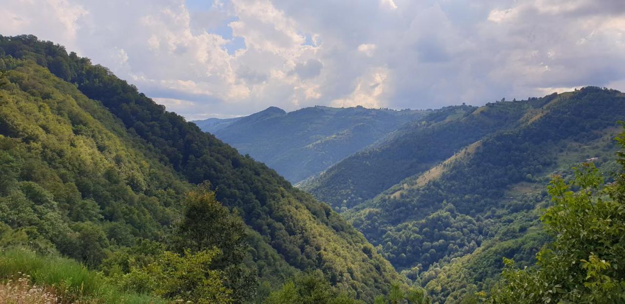 Pensiunea Petru Şugag Dış mekan fotoğraf