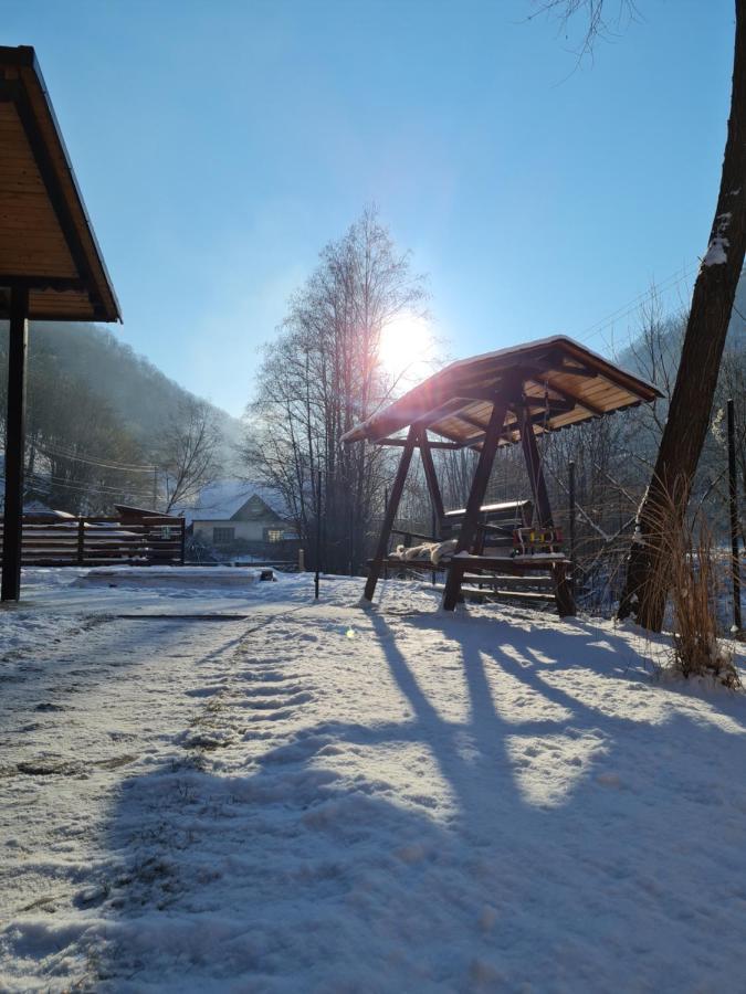 Pensiunea Petru Şugag Dış mekan fotoğraf