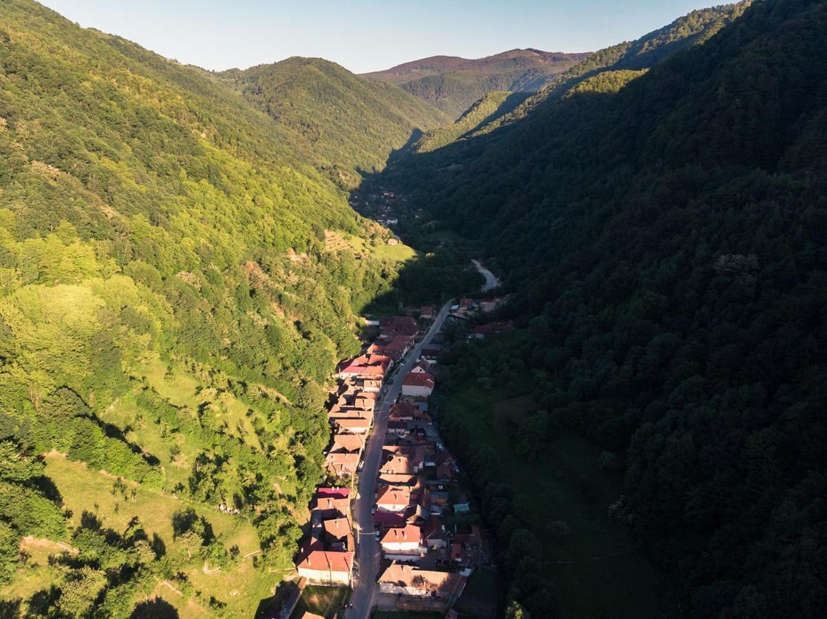 Pensiunea Petru Şugag Dış mekan fotoğraf