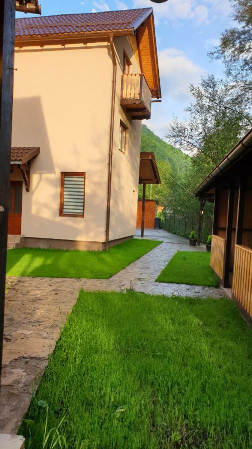 Pensiunea Petru Şugag Dış mekan fotoğraf