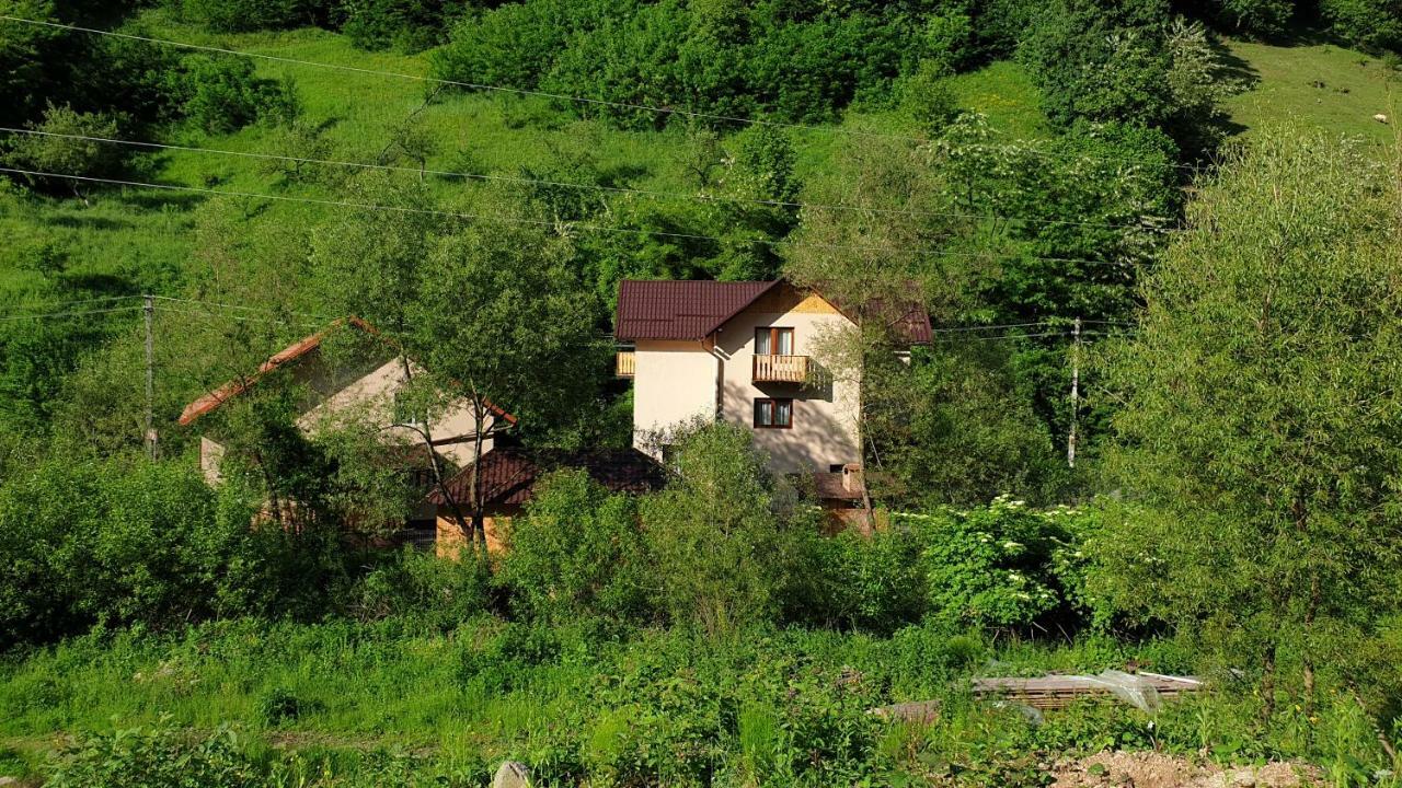 Pensiunea Petru Şugag Dış mekan fotoğraf